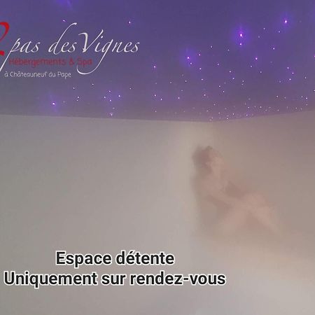 A 2 pas des vignes, hébergements et SPA à Châteauneuf du Pape, maison numéro 6 Esterno foto